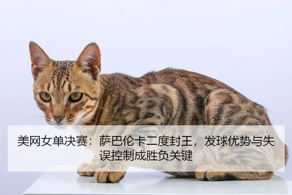 美网女单决赛：萨巴伦卡二度封王，发球优势与失误控制成胜负关键