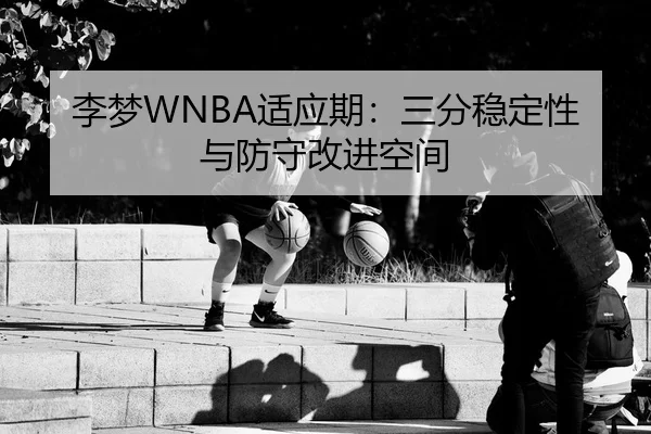 li-meng-shi-ying-qi-san-fen-wen-ding-xing-yu-fang-shou-gai-jin-kong-jian-3-270.jpg