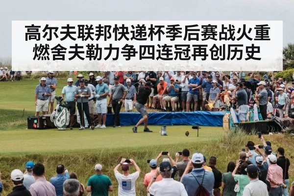 高尔夫联邦快递杯季后赛战火重燃舍夫勒力争四连冠再创历史